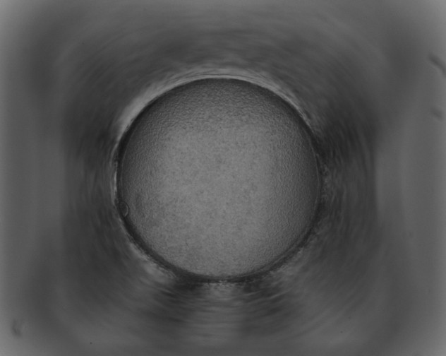 X0000093241511200710171429