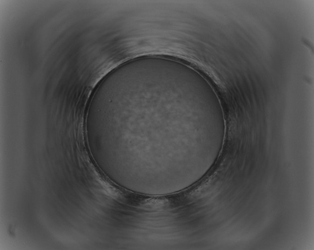 X0000093241513200710171429