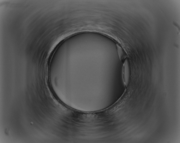 X0000093241515200710171429