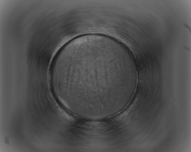 X0000093241517200710171429