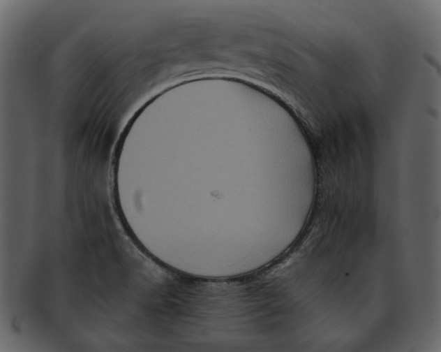 X0000093241518200710171429