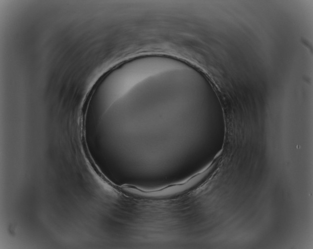X0000093241519200710171429