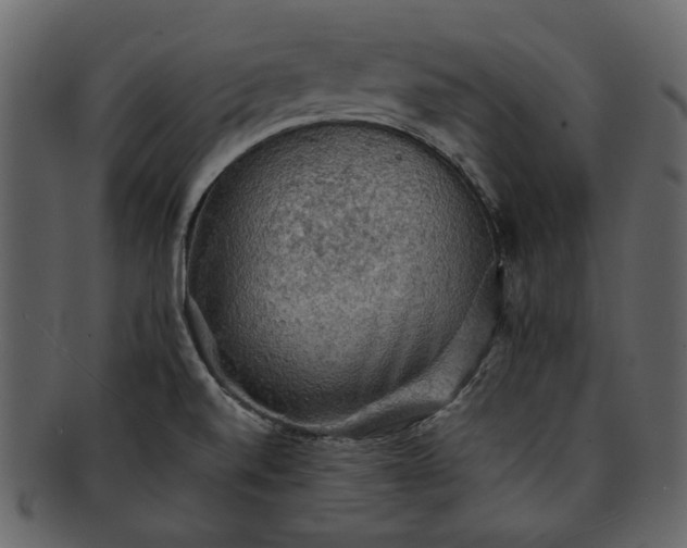 X0000093241520200710171429