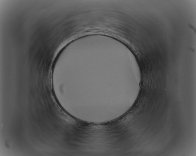 X0000093241522200710171429