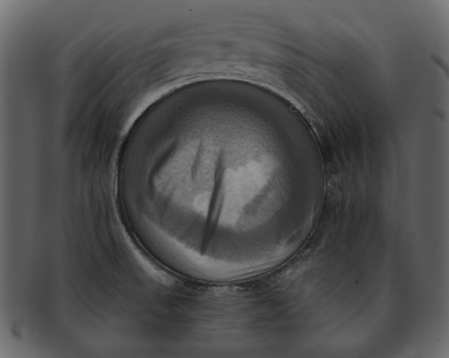 X0000093241523200710171429