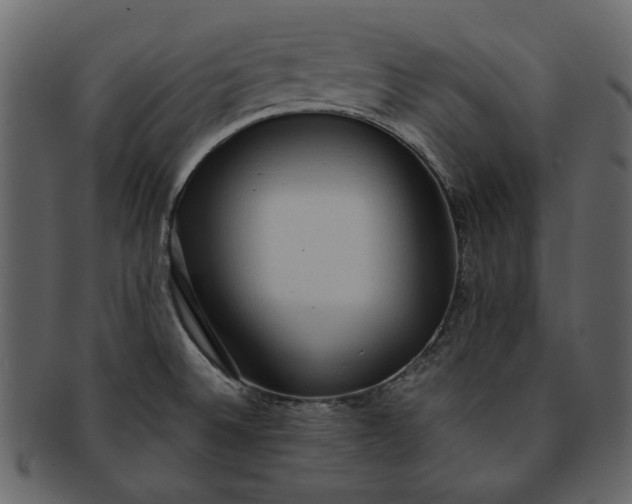 X0000093241524200710171429
