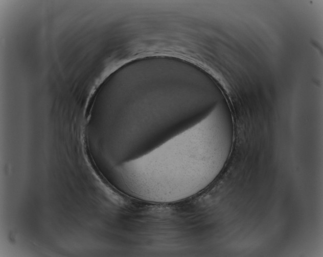 X0000093241525200710171429