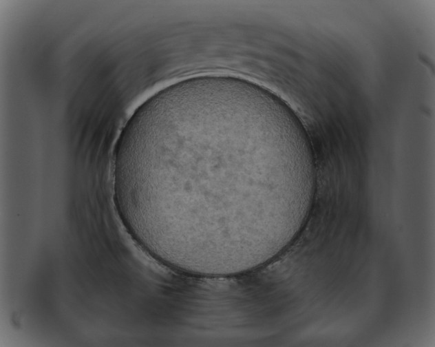 X0000093241526200710171429