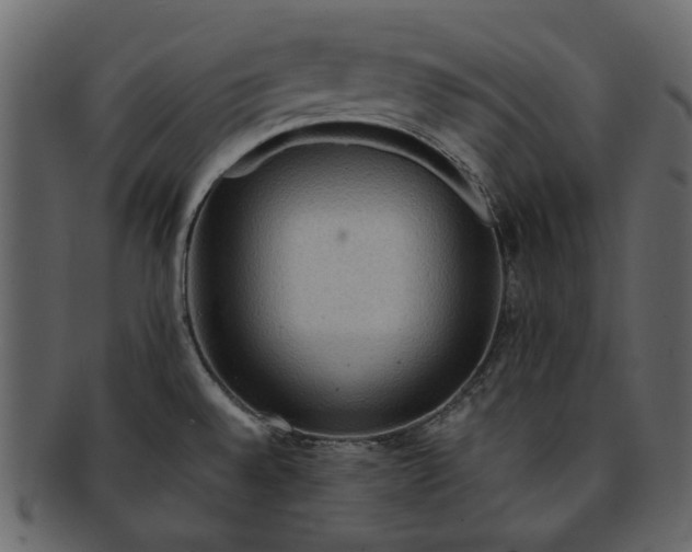 X0000093241528200710171429