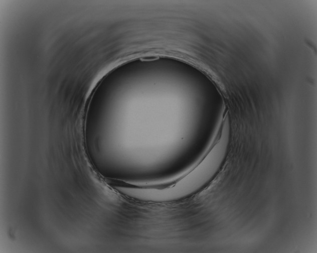 X0000093241530200710171429