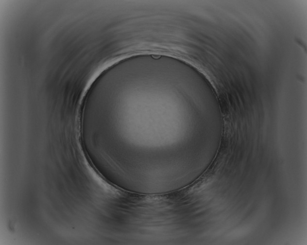X0000093241531200710171429
