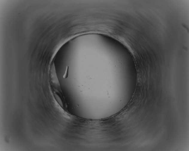 X0000093241532200710171429
