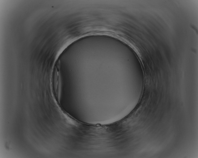 X0000093241533200710171429