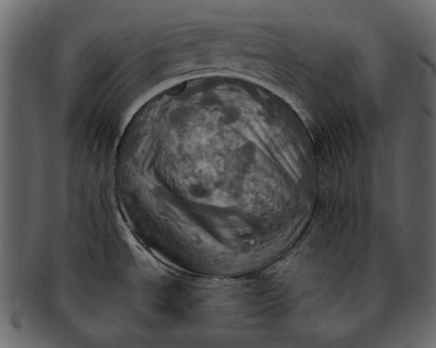 X0000093241534200710171429