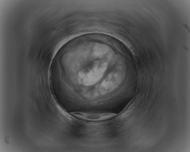X0000093241535200710171429
