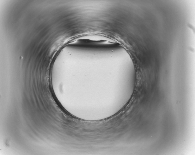 X0000093240002200710241304