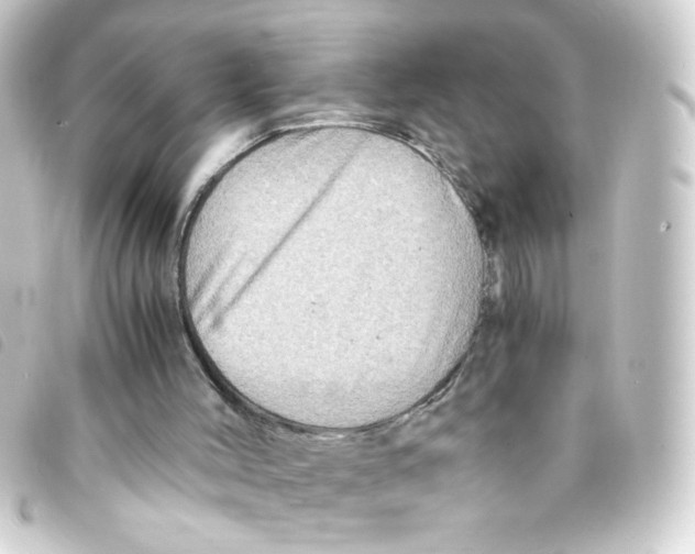 X0000093240004200710241304