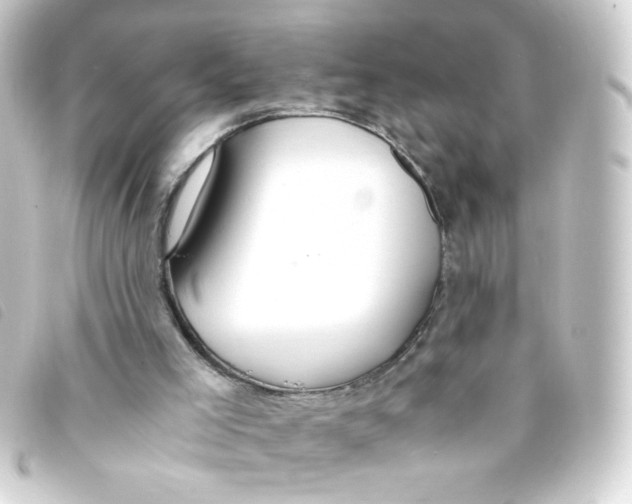 X0000093240005200710241304