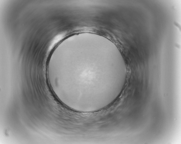 X0000093240006200710241304