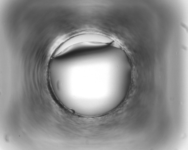 X0000093240007200710241304