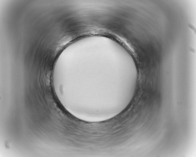 X0000093240010200710241304