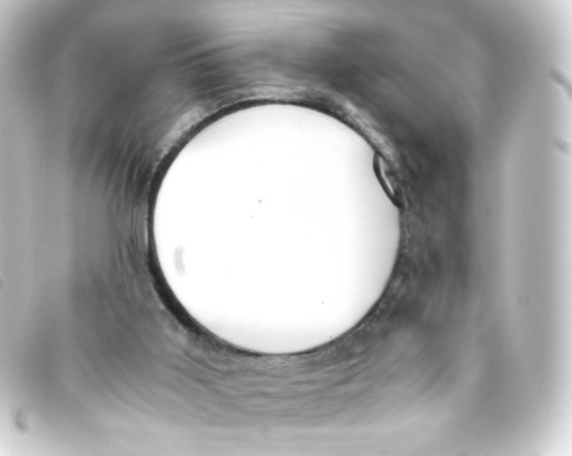 X0000093240011200710241304