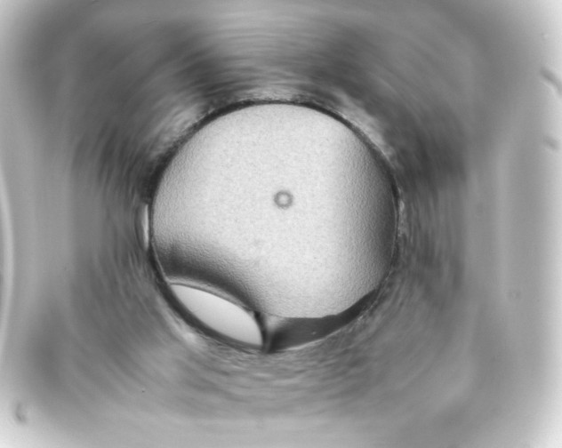 X0000093240013200710241304