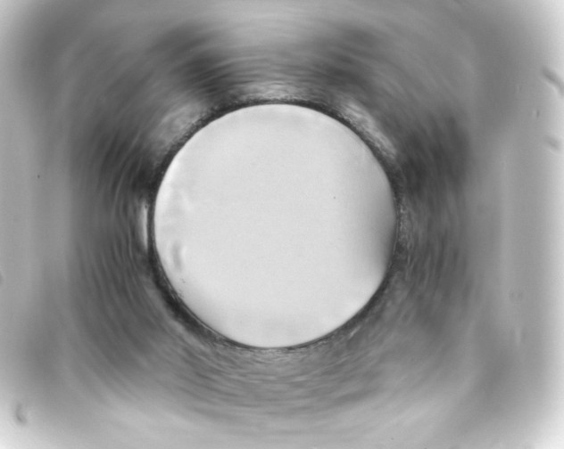 X0000093240014200710241304