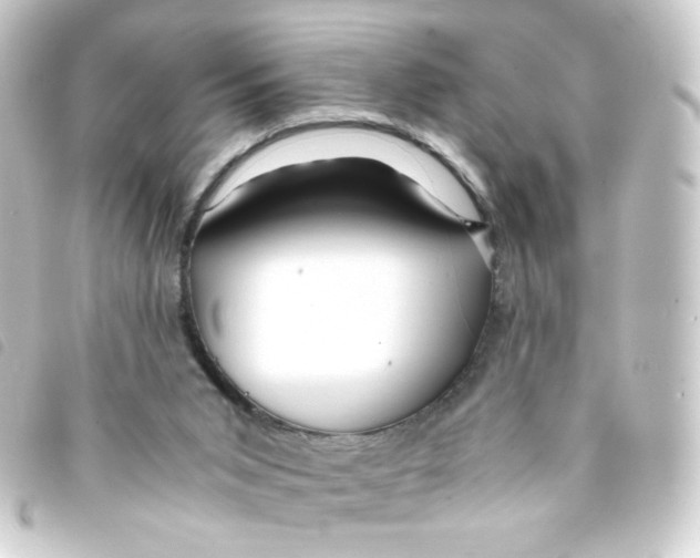 X0000093240015200710241304