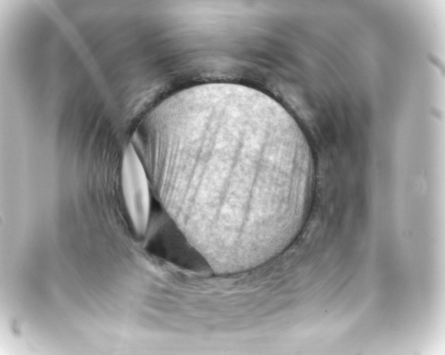 X0000093240017200710241304