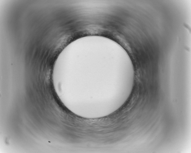 X0000093240018200710241304