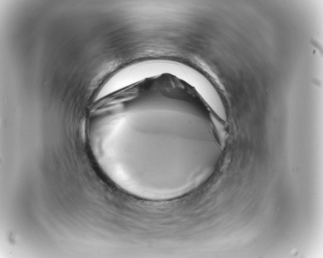 X0000093240019200710241304