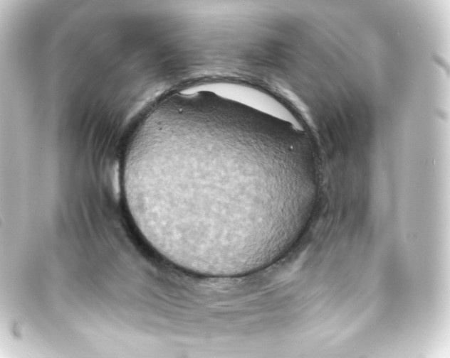 X0000093240020200710241304