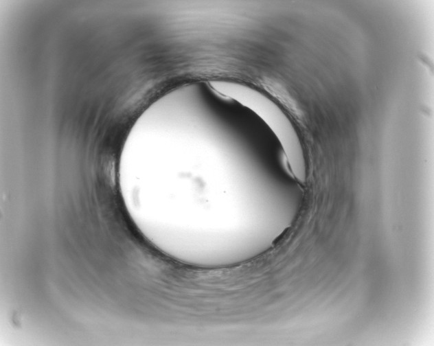 X0000093240021200710241304