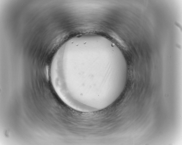 X0000093240022200710241304