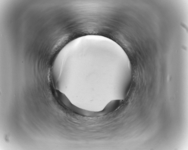 X0000093240023200710241304