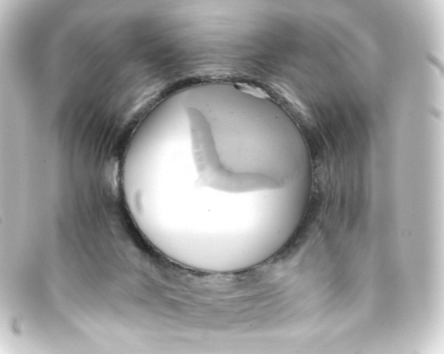 X0000093240024200710241304