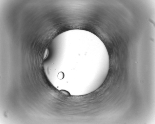 X0000093240025200710241304