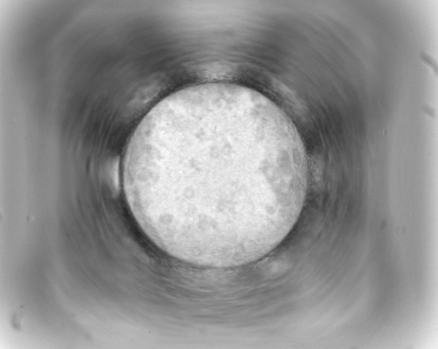 X0000093240028200710241304