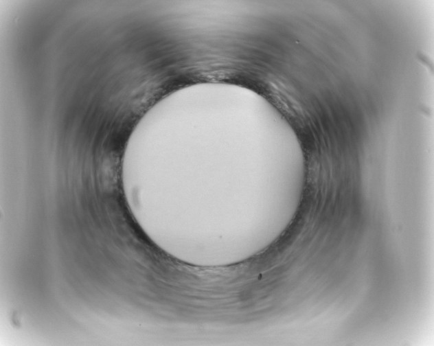 X0000093240030200710241304