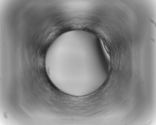 X0000093240035200710241304