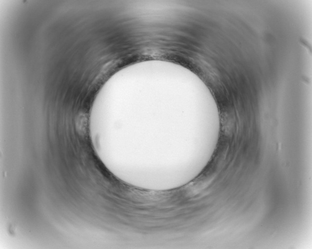 X0000093240036200710241304