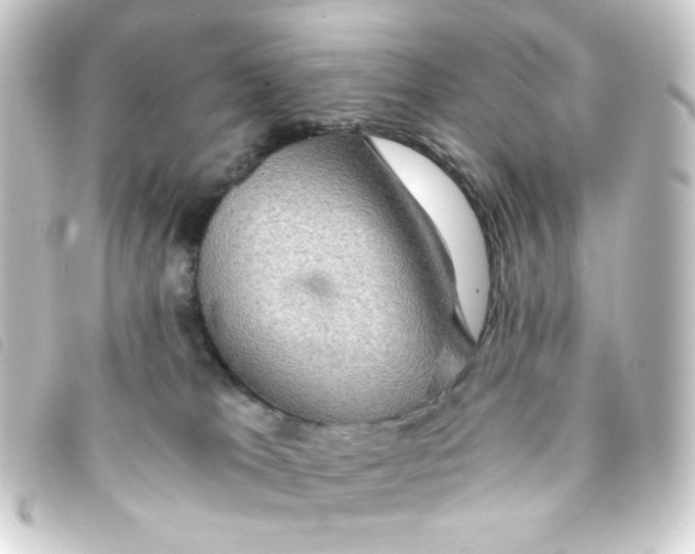 X0000093240037200710241304