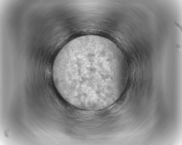 X0000093240040200710241304