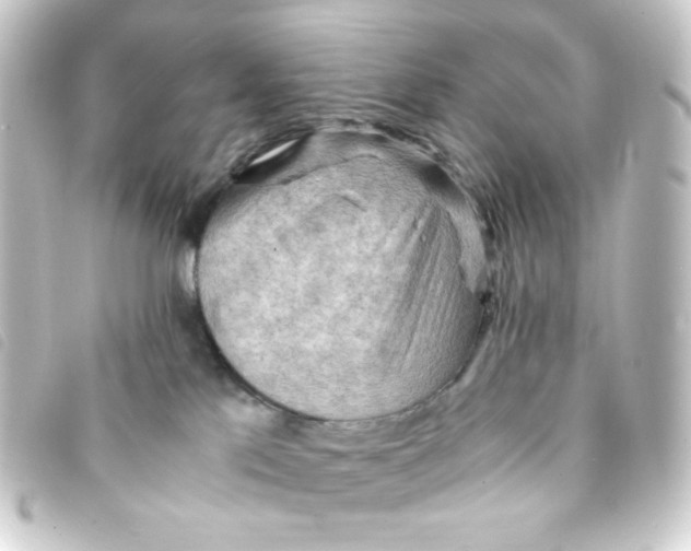 X0000093240041200710241304