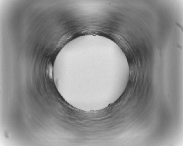 X0000093240046200710241304