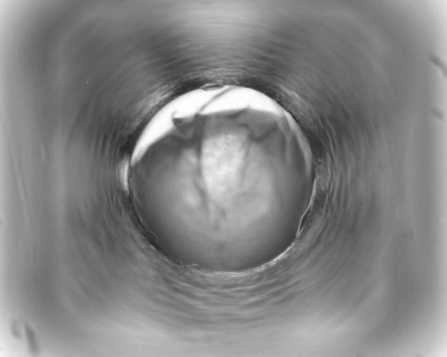 X0000093240047200710241304