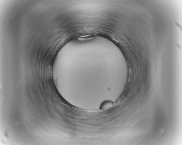 X0000093240048200710241304