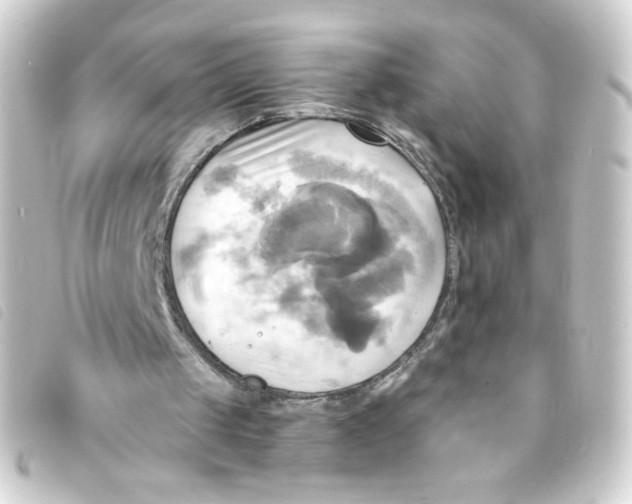 X0000093240049200710241303