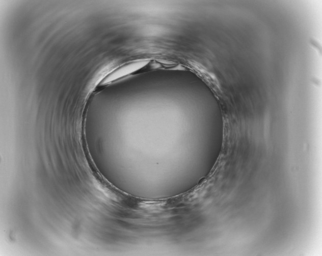 X0000093240051200710241303